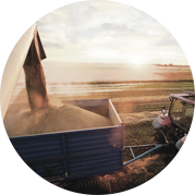 Agriculture